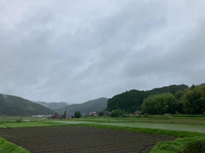 カゴノオトの前の景色