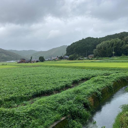 台風一過