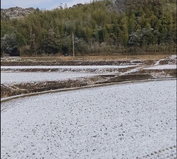 雪景色