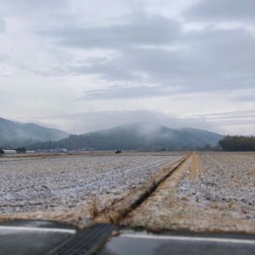 いなか風景