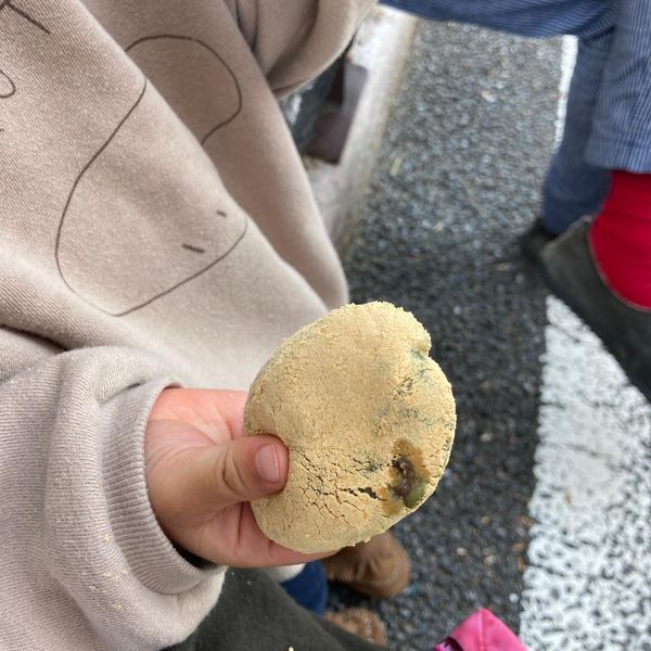 いももち