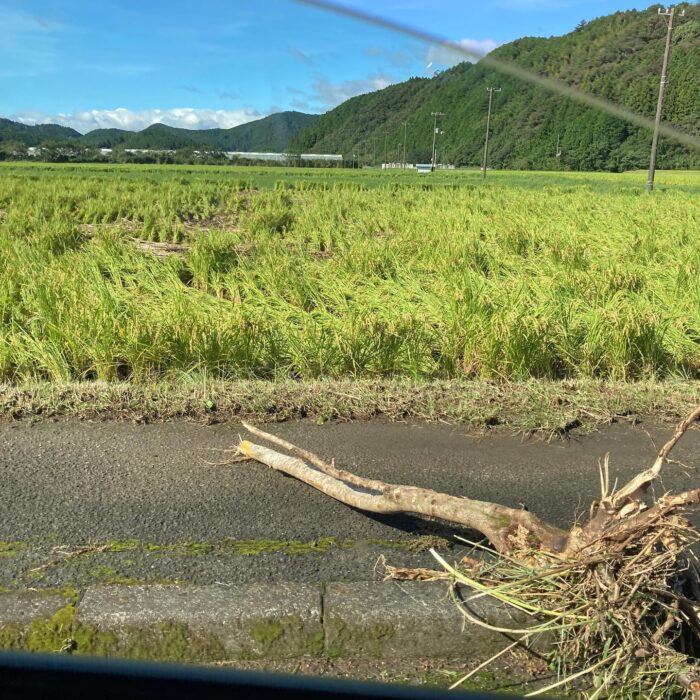 台風