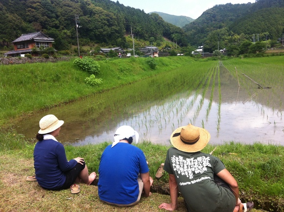 田んぼ