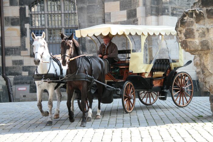 石畳を２頭づきの馬車が走っている写真