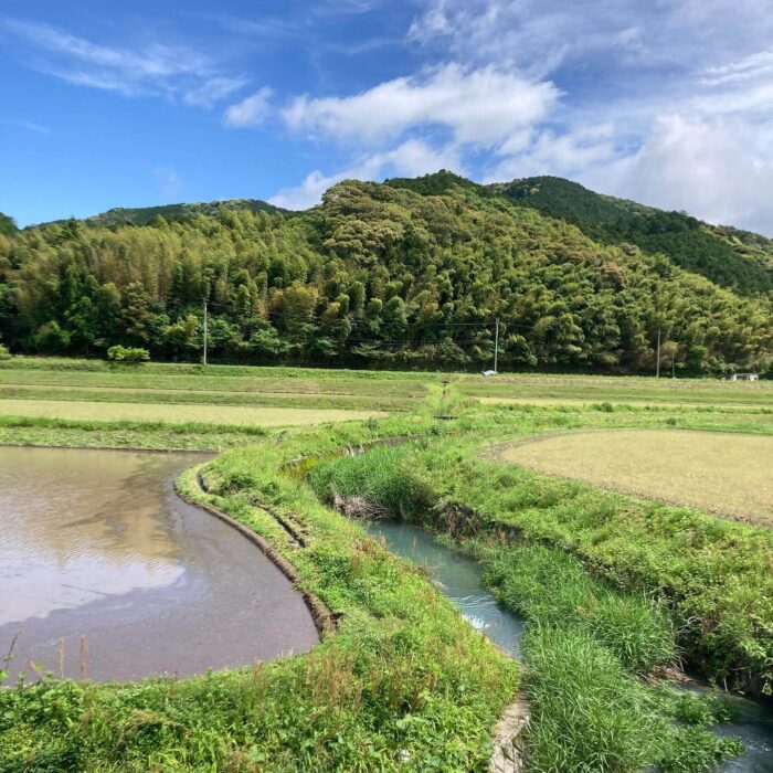 写真：山と田んぼの風景