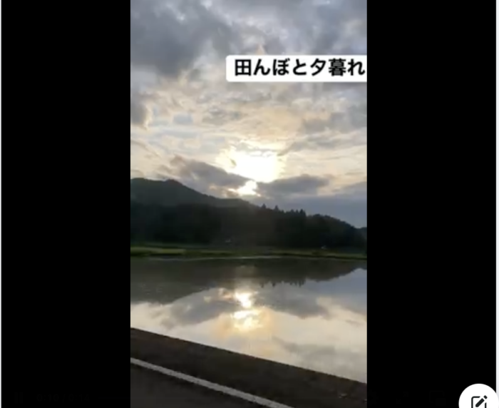 写真：田んぼの水面に夕暮れの風景が映っています