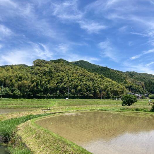 写真：田んぼと青空と山です