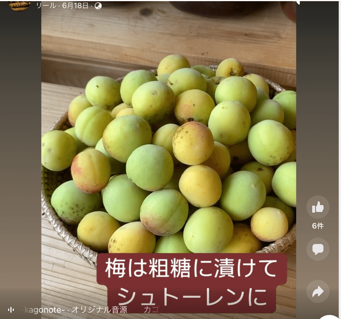 写真：梅の実がボールに入れられています。