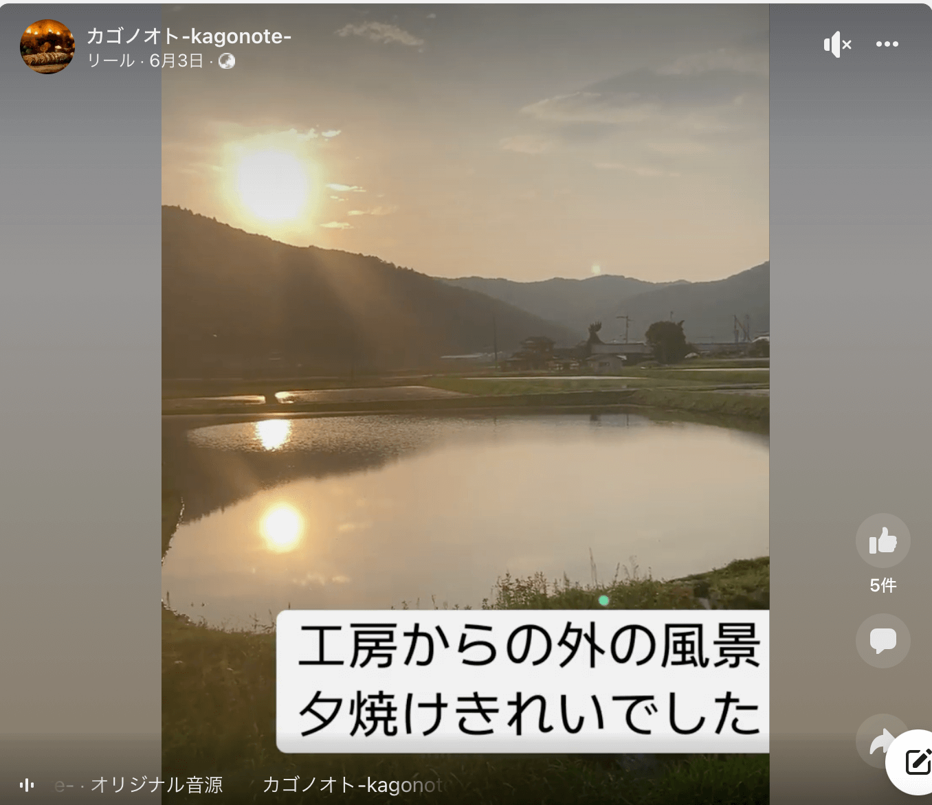 写真：田んぼに夕焼けが写っています