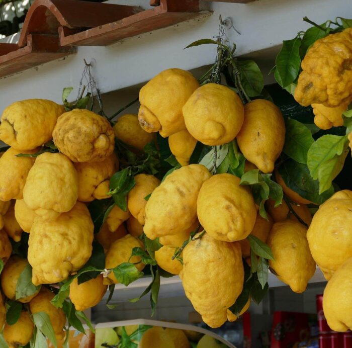 写真：レモンが軒にたくさん吊るされています。
