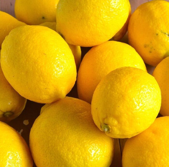 写真：レモンがたくさん並んでいます