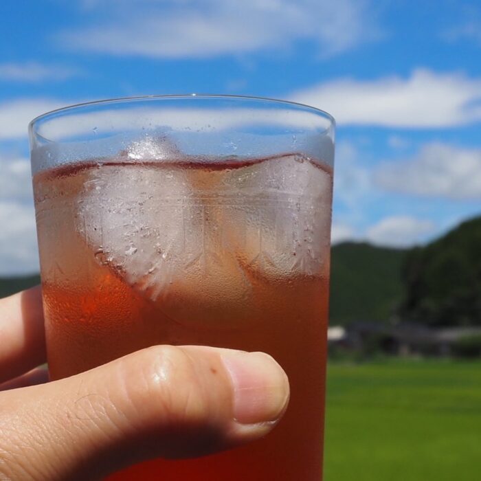 今年もカゴノオトのいちごシロップできました！