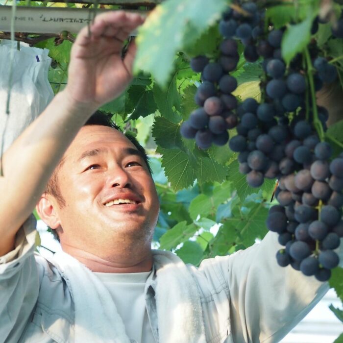 写真：ぶどうを育てる農家の武市さん