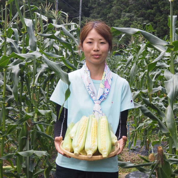 写真：笹岡さんがとうもろこし畑でとうもろこしを持って立っています。