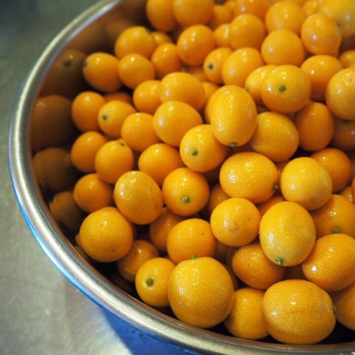 写真：たくさんの金柑がボールに入っています。