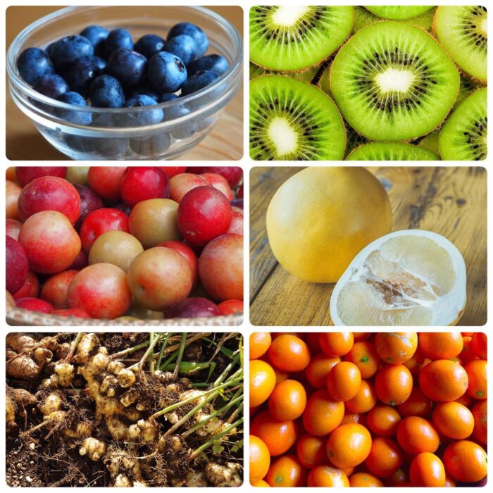 写真：しまんと果実タルトの6種に使われている果物です。