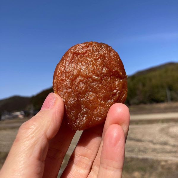 写真：恵子さんの干し芋を持っています。