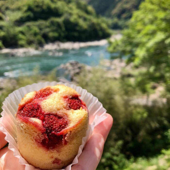 写真：焼きたてタルトです。四万十川が背景に流れています。