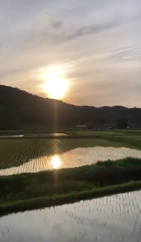 写真：四万十町の風景です