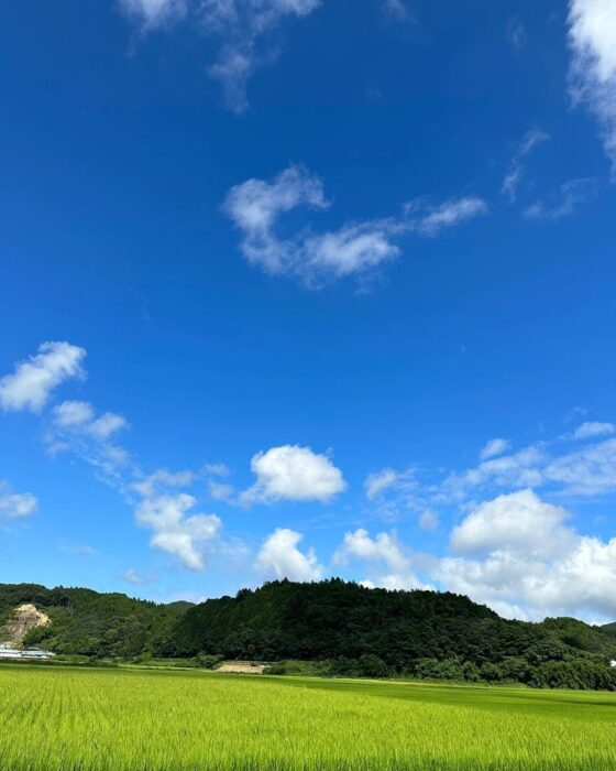 写真：四万十町の景色です