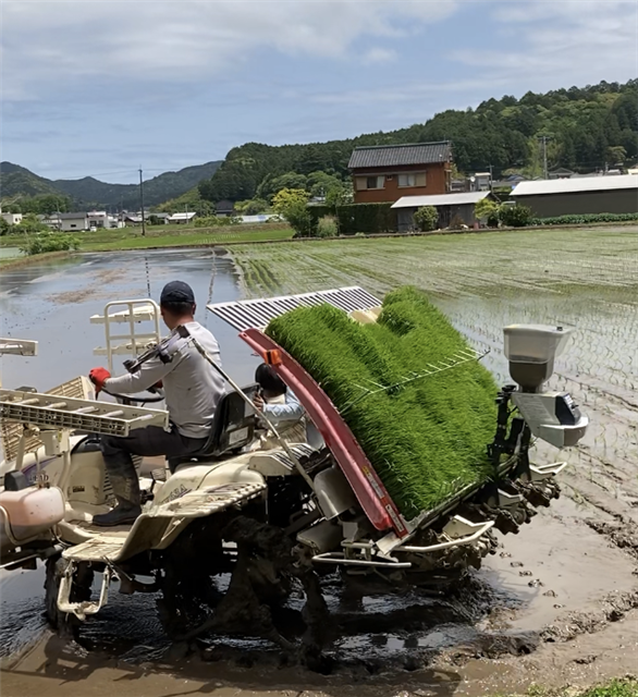写真：トラクターに乗って田植えをしている武市さんです
