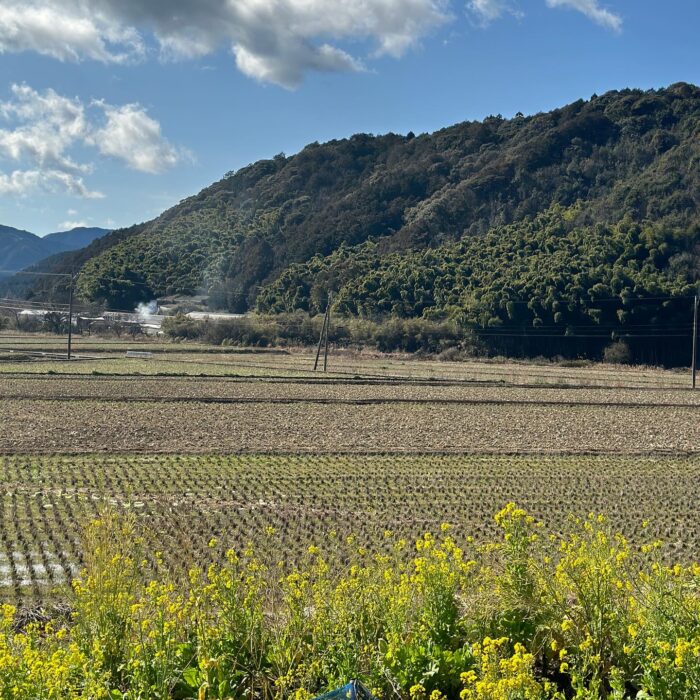 写真：立春を過ぎ四万十町は、春です！