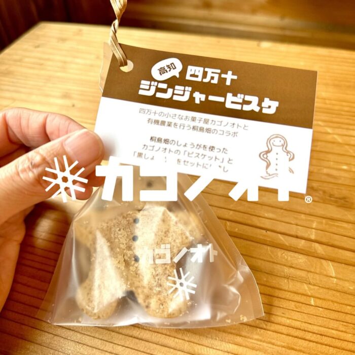 写真：四万十ジンジャービスケ いよいよ販売できます