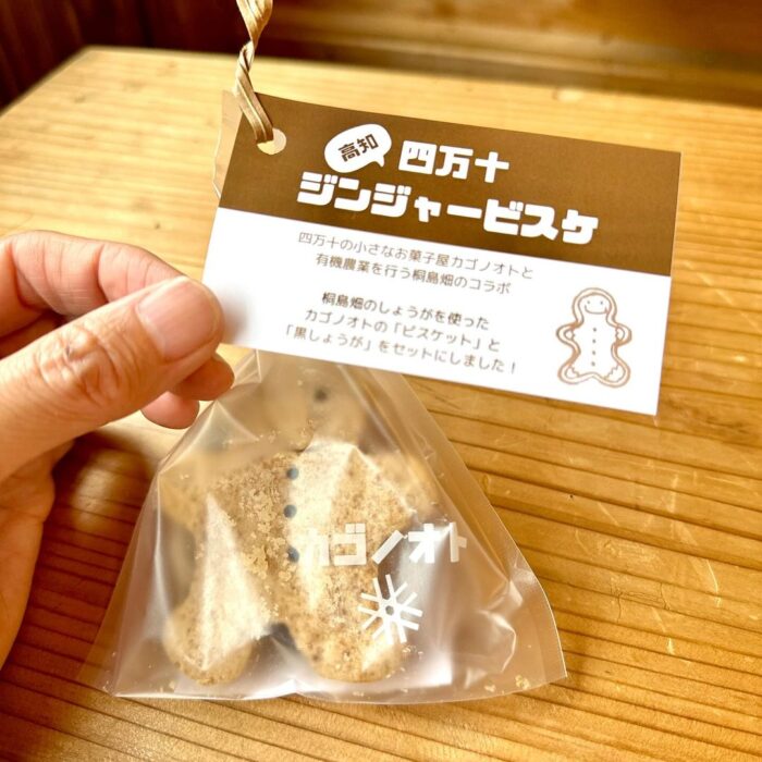 四万十ジンジャービスケ いよいよ販売できます