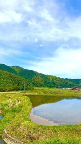 写真：今日はいい天気の四万十町でした