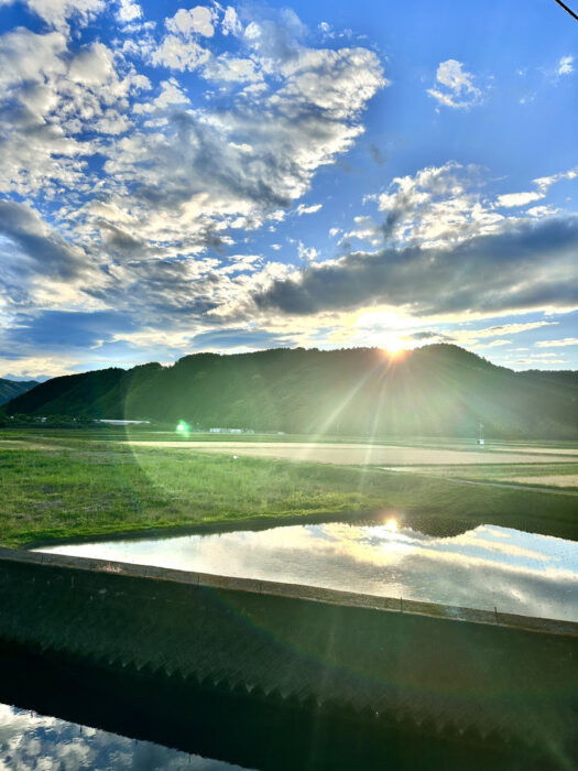 写真：四万十での田植えが始まりました