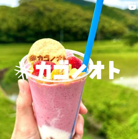 写真：いちごのスムージーです