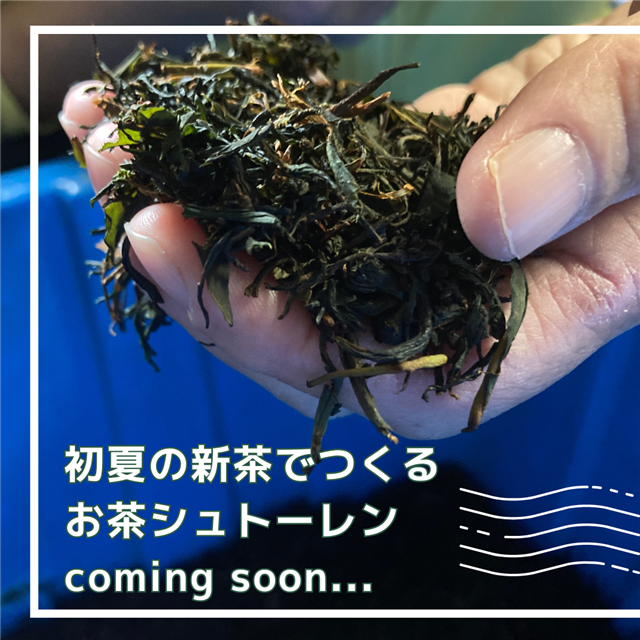 写真:初夏の新茶でつくるお茶シュトーレン準備中です
