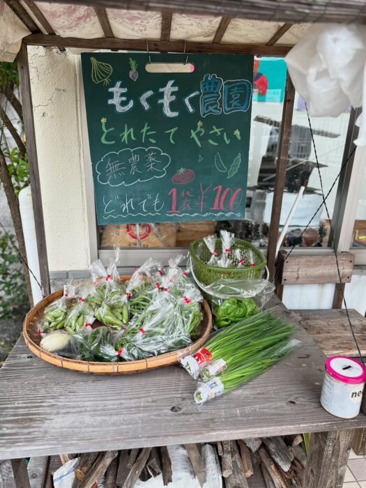 写真:もくもく農園さんです