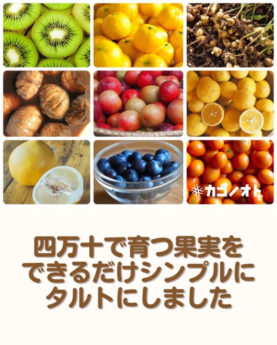 画像:しまんと果実タルトについてです
