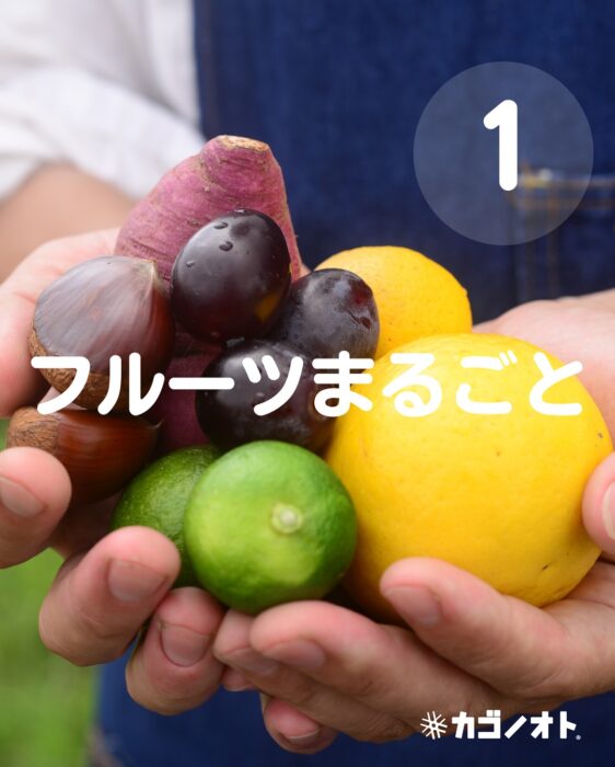 画像:しまんと果実タルトについてです