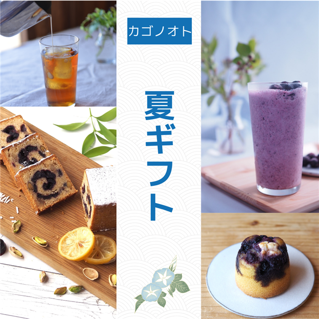 画像:夏ギフトです