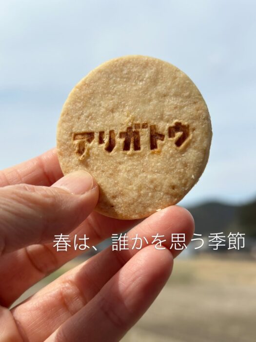 写真：ありがとうビスケットです