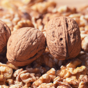 板東俘虜収容所のシュトーレンは日本最古？鳴門市ドイツ館の記録をたどる