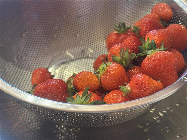 写真：四万十のいちご農家さんから買わせてもらったいちごです