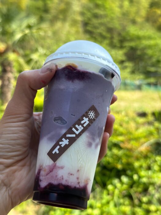 写真:ブルーベリーフローズンです。